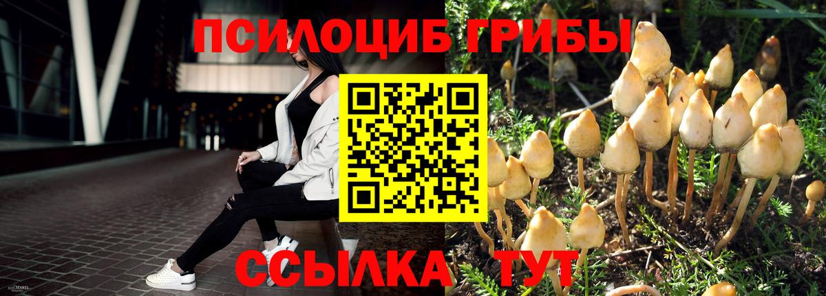 Псилоцибиновые грибы прущие грибы  Вход с VPN  Омск  Псилоцибиновые грибы мицелий 